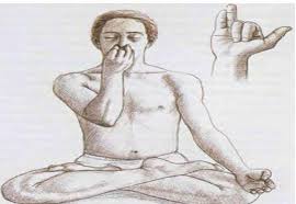 Pranayama- Increasing the Vital Force (Part 2) by Rutu Panjwani ...